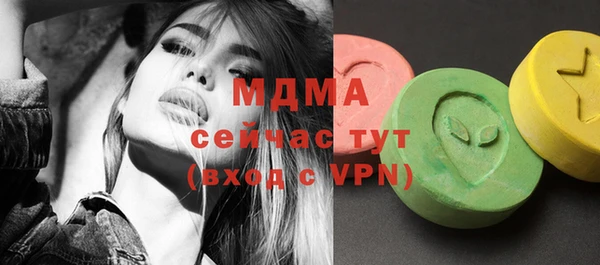 гашик Михайлов