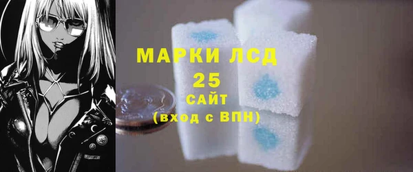 гашик Михайлов
