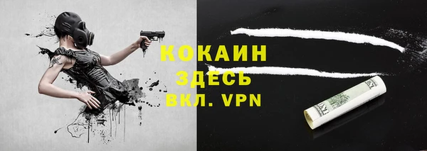 гашик Михайлов