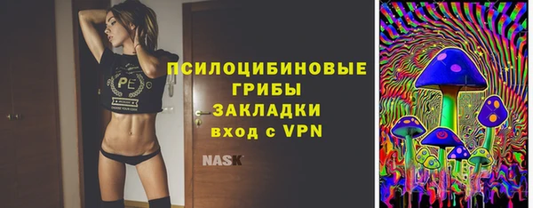 гашик Михайлов